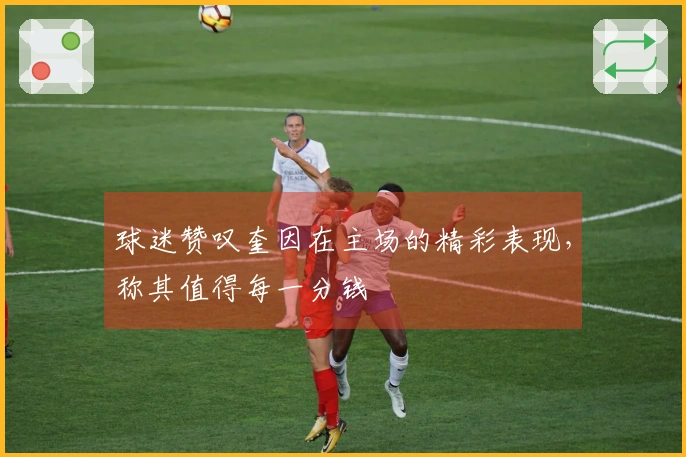 球迷赞叹奎因在主场的精彩表现，称其值得每一分钱